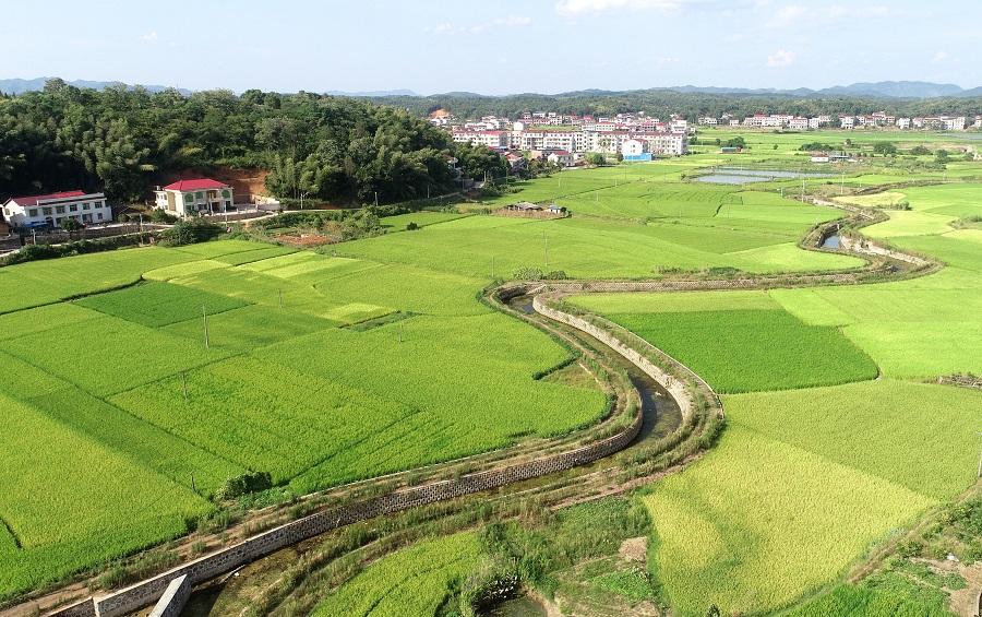 翔安区新圩镇上宅村高标准农田建设项目